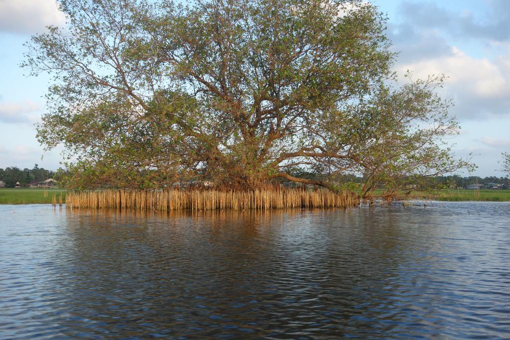 Ao Thai Resort Sathing Phra Eksteriør bilde