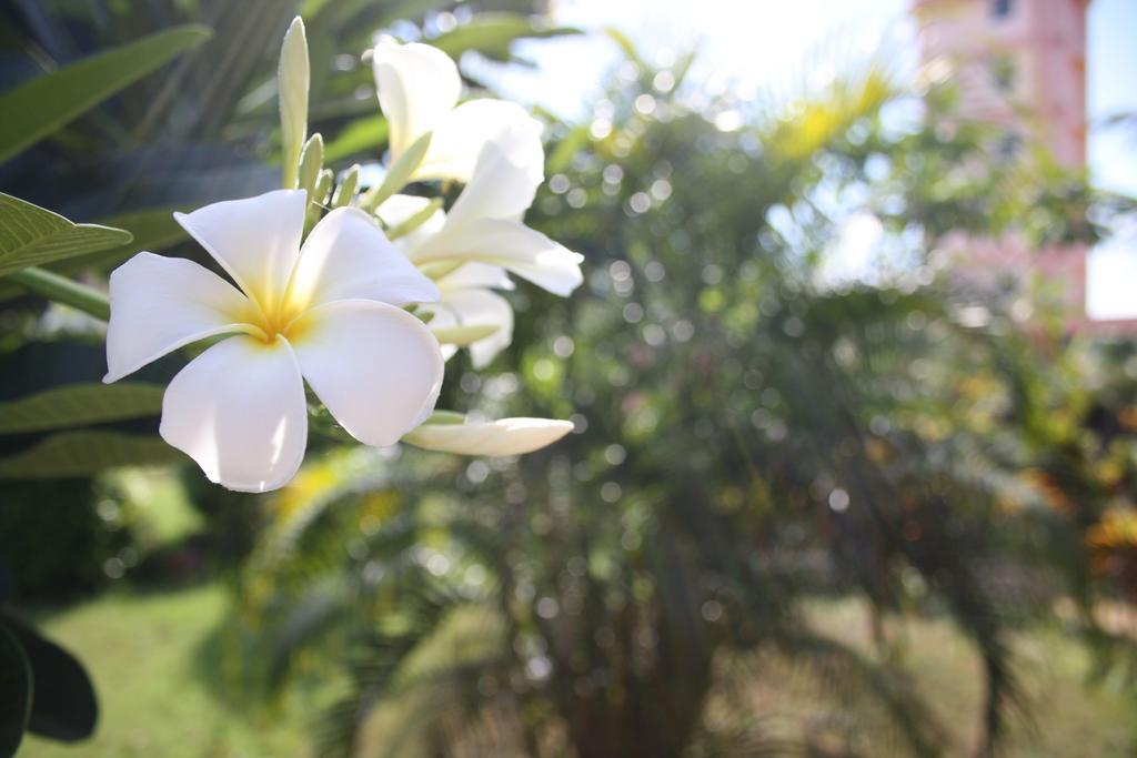 Ao Thai Resort Sathing Phra Eksteriør bilde